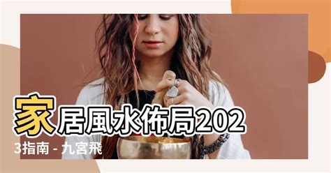 風水佈局2023|【家居風水佈局2023】2023家居風水佈局指南，擺對植物旺財。